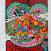 Dragons Against Dictators - Image 2
